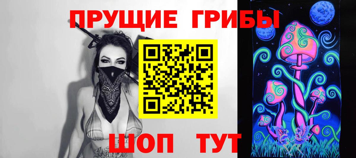Псилоцибиновые грибы Cubensis Дербент
