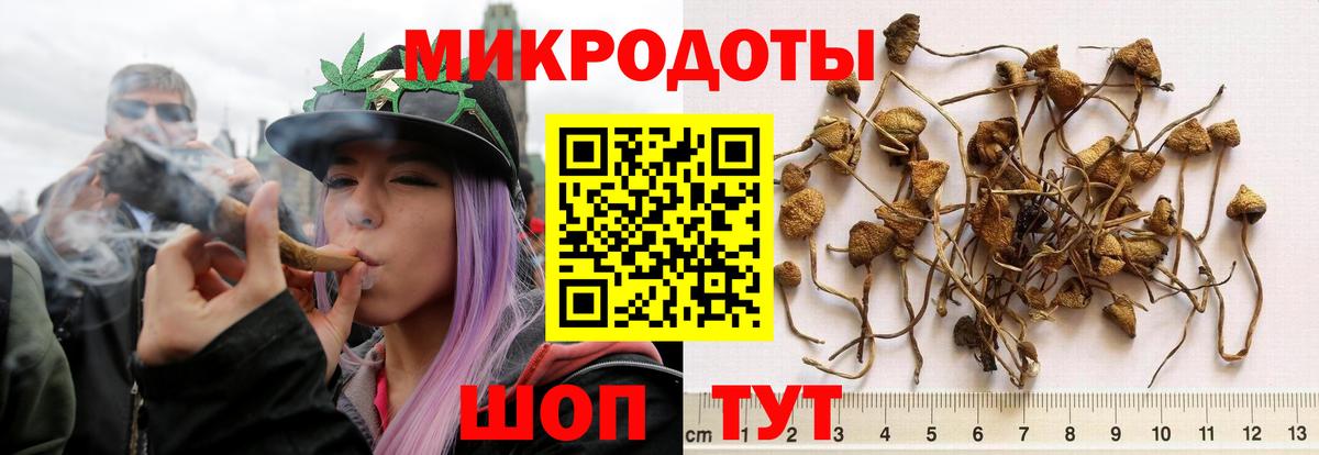 Галлюциногенные грибы мухоморы  Вход с VPN  Дербент 
